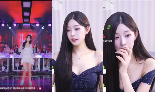 0310blue's Stream - Aug 5, 2026, 1:31 PM