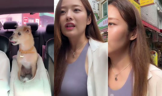 dodohee0929's Stream - Jul 18, 2026, 6:42 AM
