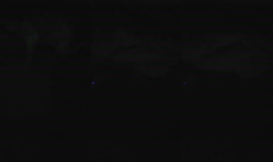 dreamch77's Stream - Jul 22, 2026, 6:04 PM