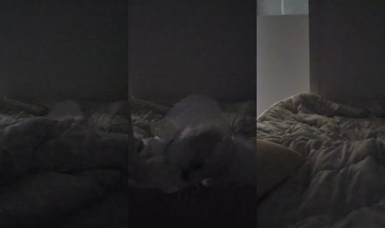 nyouuu30810's Stream - Jul 22, 2026, 8:46 PM