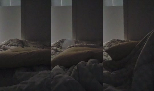 nyouuu30810's Stream - Jul 22, 2026, 11:19 PM