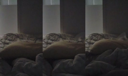 nyouuu30810's Stream - Jul 23, 2026, 1:01 AM