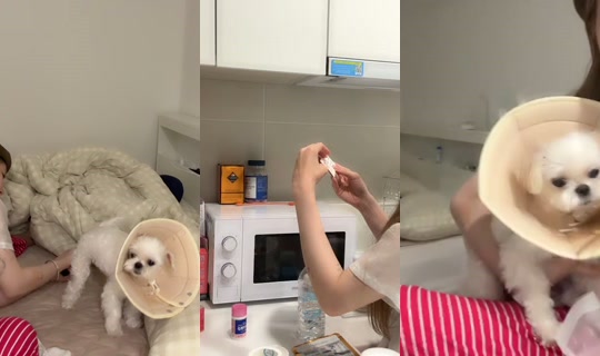 nyouuu30810's Stream - Jul 27, 2026, 1:31 PM