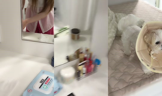 nyouuu30810's Stream - Jul 27, 2026, 2:22 PM