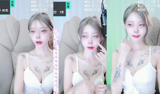 pinepine0's Stream - Jul 29, 2026, 7:59 PM