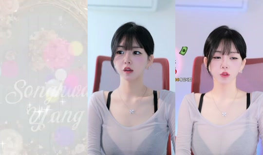 sejin453's Stream - Oct 23, 2026, 3:28 AM