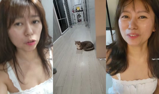 skmy6637's Stream - Jul 26, 2026, 4:43 PM