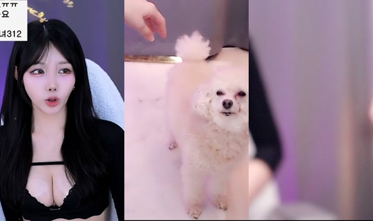 Stream ni suji0624 - Ago 4, 2026, 3:29 PM