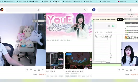 tjgpdus97's Stream - Oct 17, 2026, 10:41 AM