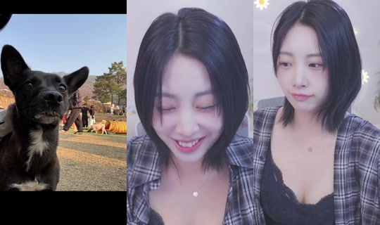 yesrin21's Stream - Jul 27, 2026, 10:01 AM