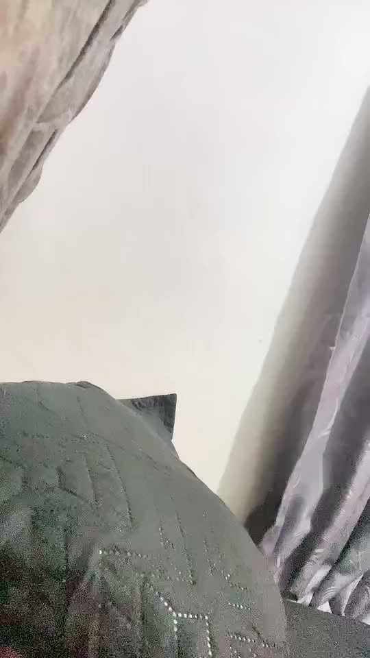 1024549099