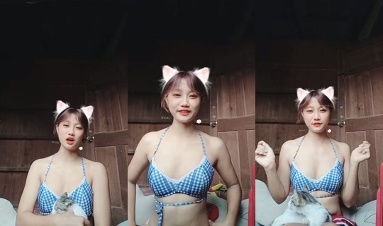 1029564486's Stream - Jul 28, 2026, 4:15 AM