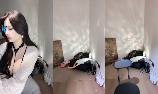 1040164439's Stream - Aug 7, 2026, 10:13 AM