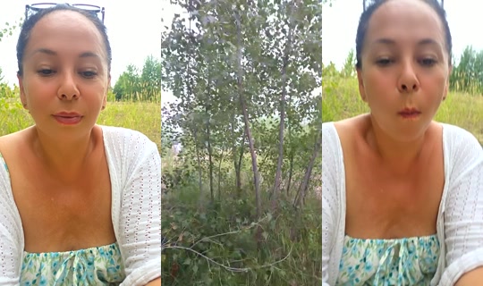 1049700585's Stream - Aug 7, 2026, 2:15 PM