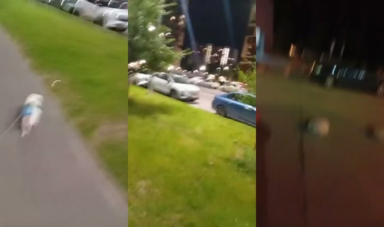 1060612117's Stream - Aug 5, 2026, 8:19 PM