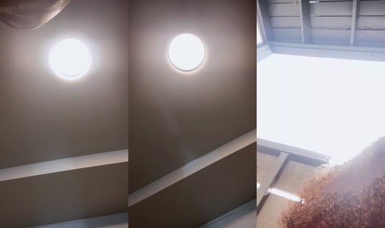 1068395532's Stream - Aug 5, 2026, 9:49 PM