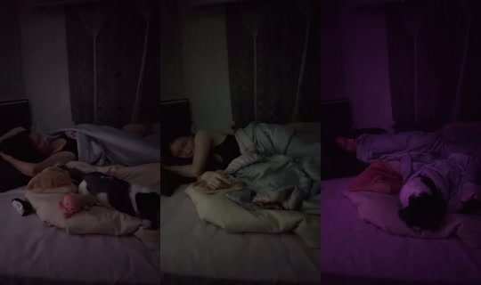 1082836207's Stream - Aug 4, 2026, 9:11 PM