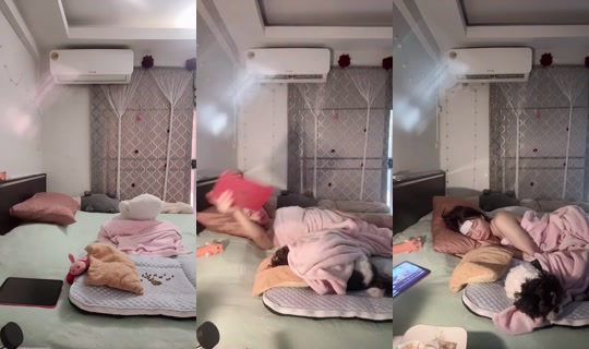 1082836207's Stream - Aug 9, 2026, 9:18 AM