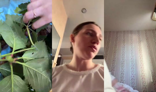 1100543851's Stream - Jul 31, 2026, 3:25 PM