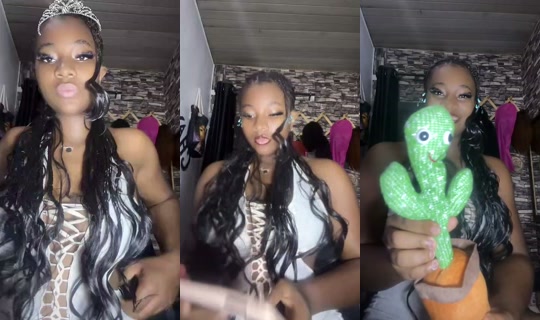 1100923531's Stream - Jul 27, 2026, 9:49 PM