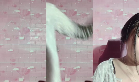 1103598484's Stream - Aug 22, 2026, 4:17 PM