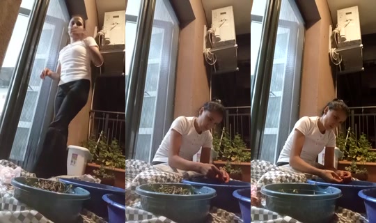 1105255423's Stream - Jul 17, 2026, 12:43 AM