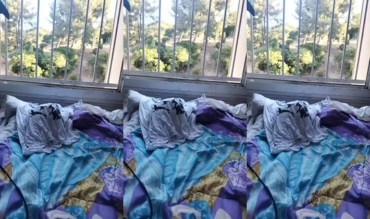 1105687294's Stream - Jul 12, 2026, 6:21 AM