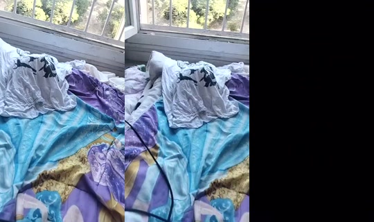 1105687294's Stream - Jul 12, 2026, 6:36 AM