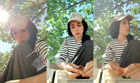 1121562695's Stream - Jul 21, 2026, 6:36 AM