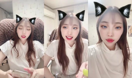 1123910753's Stream - Sep 18, 2026, 12:28 PM
