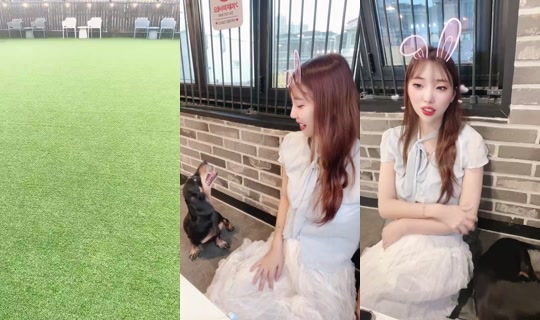 1123910753's Stream - Sep 19, 2026, 9:17 AM