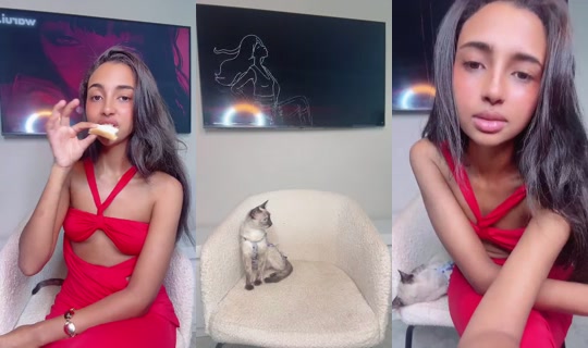 1129126545's Stream - Jul 27, 2026, 1:46 AM