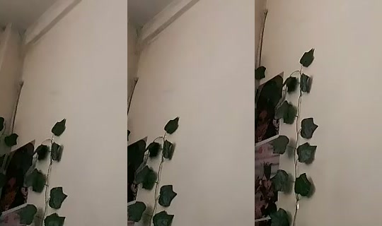 1130032880's Stream - Oct 21, 2026, 3:58 AM