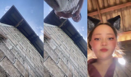 11nalee's Stream - Jul 26, 2026, 3:09 AM