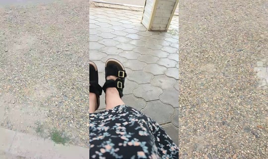 335771921's Stream - Jul 27, 2026, 10:53 AM