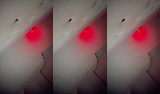 348711226's Stream - Aug 4, 2026, 6:50 PM