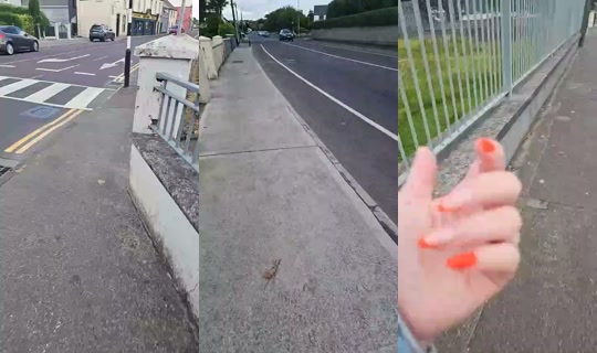 840709226's Stream - Jul 28, 2026, 12:37 PM