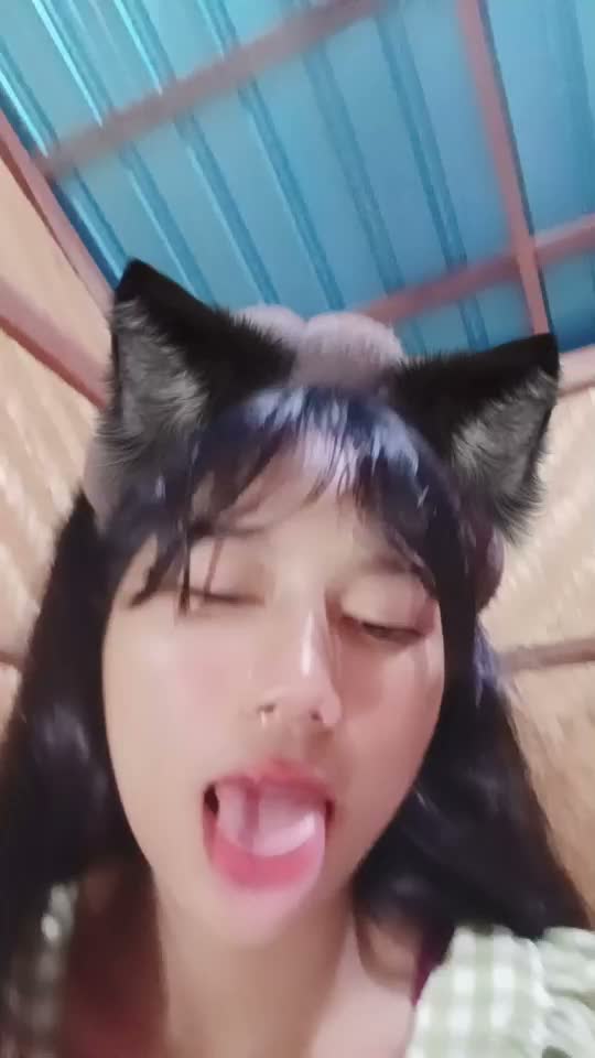 878676106