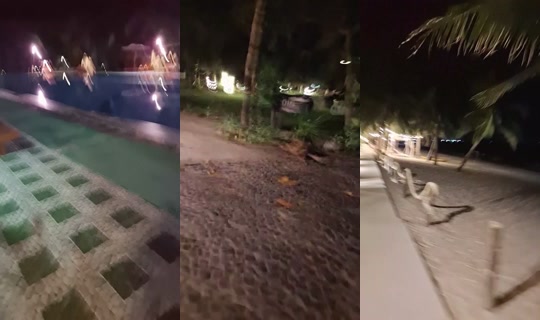 884273409's Stream - Sep 18, 2026, 11:32 AM