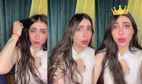 886900403's Stream - Sep 16, 2026, 4:03 PM