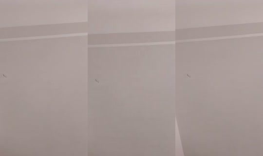 906825366's Stream - Jul 28, 2026, 7:20 PM