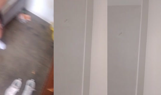 906825366's Stream - Jul 29, 2026, 5:12 PM