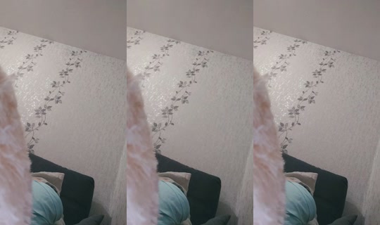 985560584's Stream - Aug 4, 2026, 9:53 PM