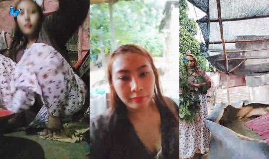 99Honey's Stream - Aug 9, 2026, 2:01 AM