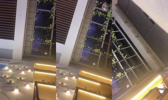 Annie_brave's Stream - Jul 13, 2026, 12:09 AM