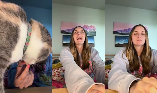 Artwithrachel's Stream - Jul 13, 2026, 6:46 PM