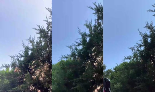 Birhayaledaldim's Stream - Jul 25, 2026, 2:24 PM