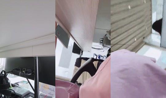 Chanipa19's Stream - Jul 31, 2026, 8:57 AM