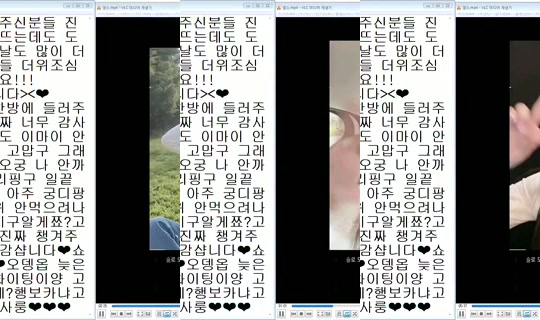 DOrrraHEE's Stream - Aug 4, 2026, 3:01 AM