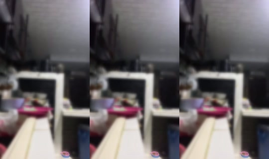 DYL.FRESA's Stream - Jul 29, 2026, 4:15 PM